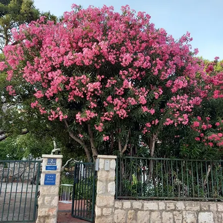 None דוברובניק